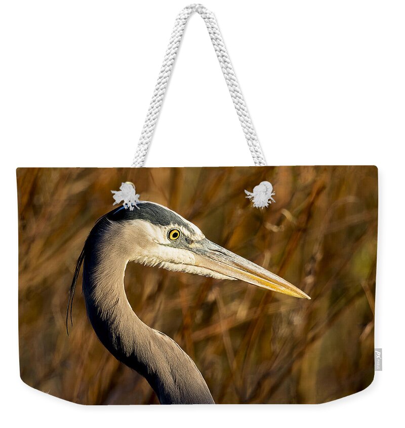 Bird Weekender Tote Bag featuring the photograph Great Blue Heron Hunting by Fred J Lord