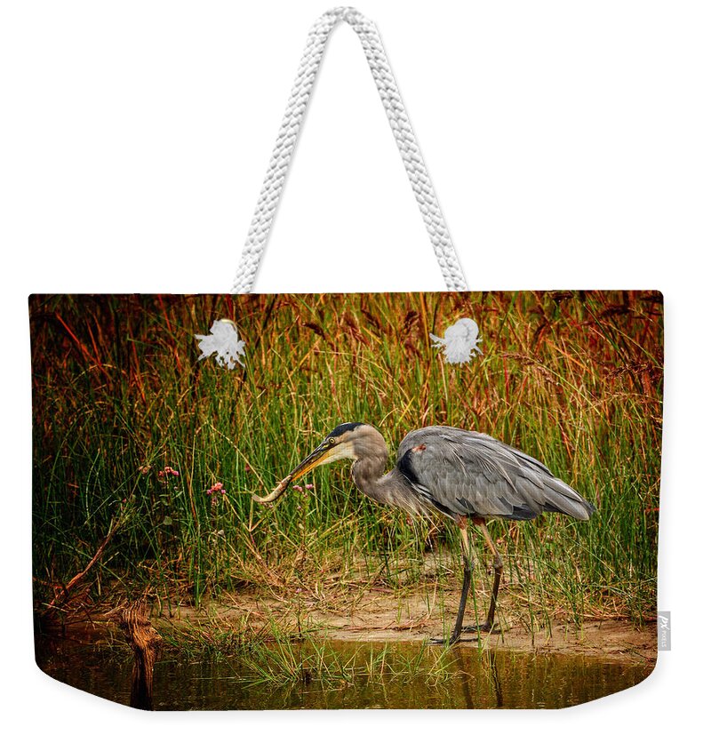 Bald Eagles Weekender Tote Bag featuring the photograph Great Blue Heron III by Kathi Isserman