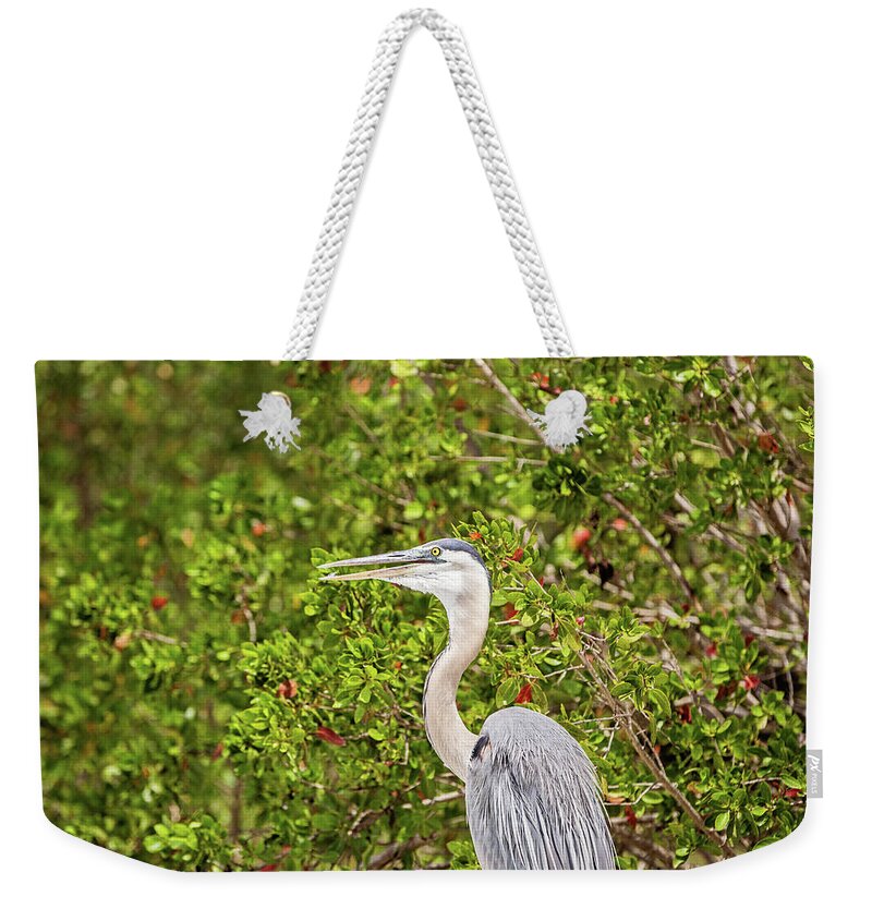 Great Blue Heron Weekender Tote Bag featuring the photograph Great Blue Heron in the Mangroves by Scott Pellegrin