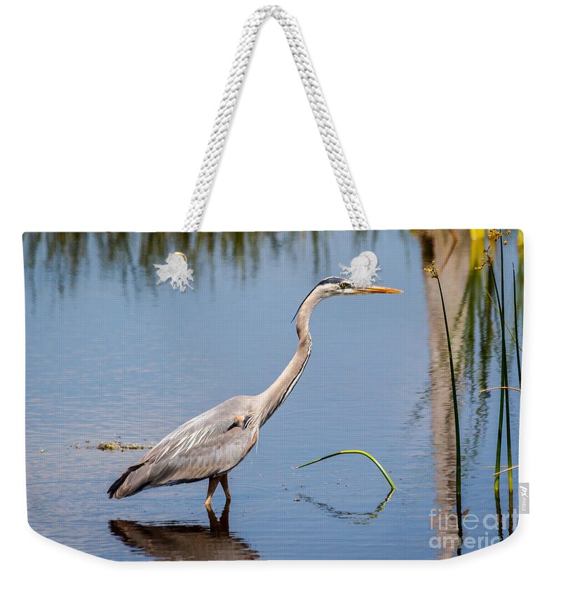 Blue Weekender Tote Bag featuring the photograph Great Blue Heron by Les Greenwood
