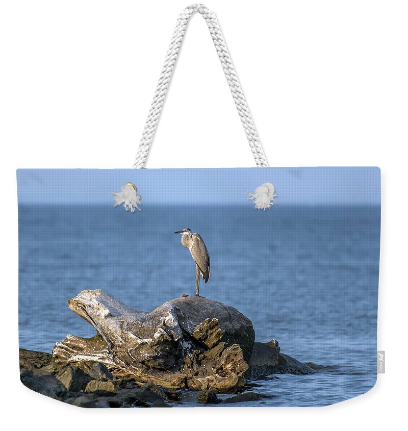 Great Blue Heron Weekender Tote Bag featuring the photograph Great Blue Heron on Chesapeake Bay by Patrick Wolf