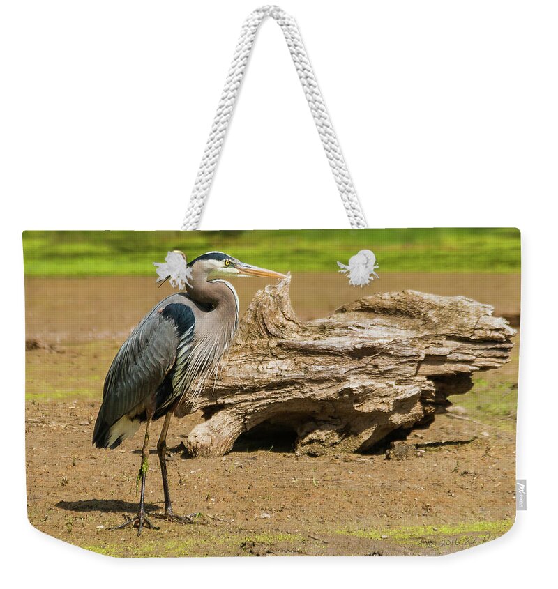 Great Blue Heron Weekender Tote Bag featuring the photograph Great Blue Heron Posing by Ed Peterson
