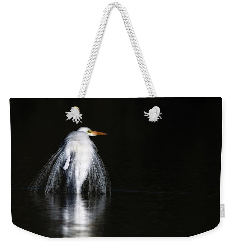 Great Weekender Tote Bag featuring the photograph Great Egret 1035-010518-1cr by Tam Ryan