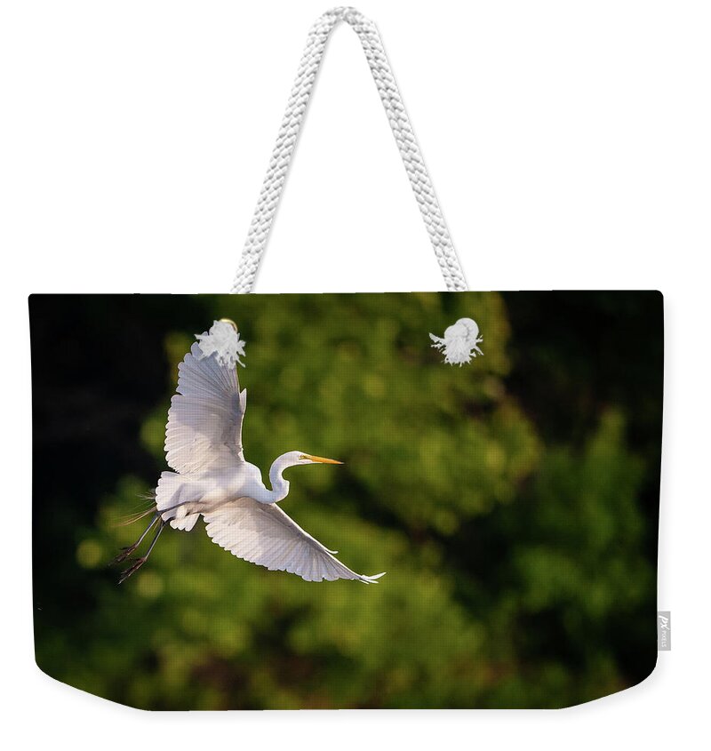 Great Egret (ardea Alba) Weekender Tote Bag featuring the photograph Great Egret 3175 by Jeff Phillippi