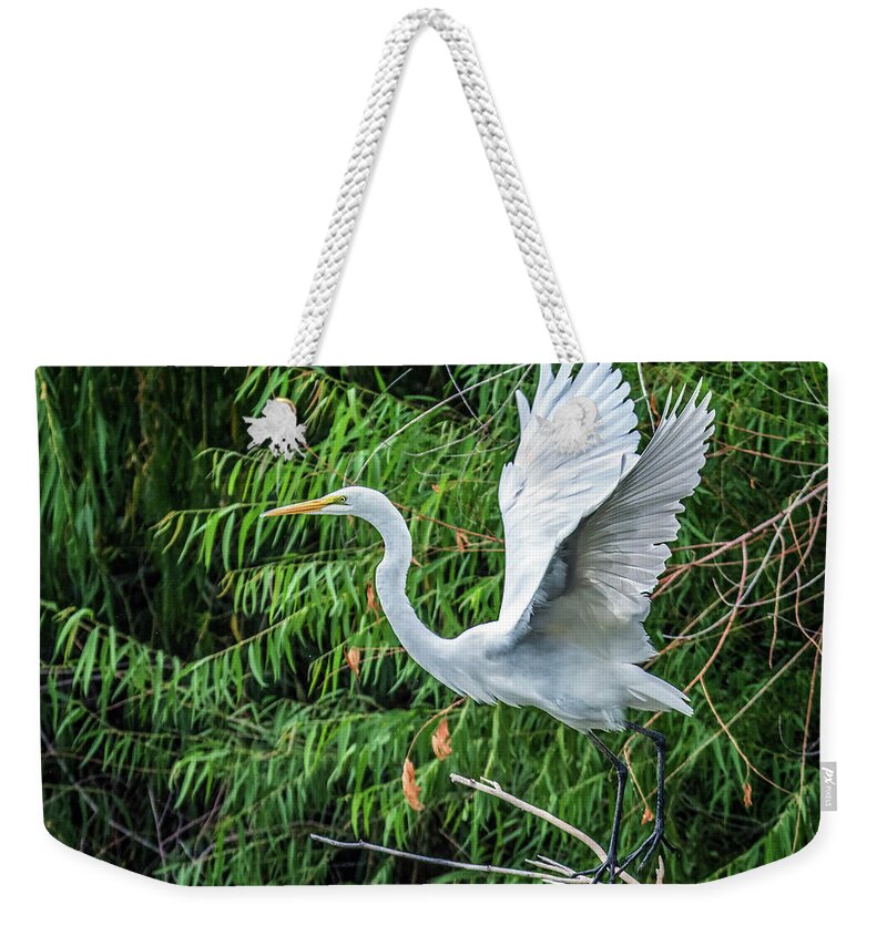 Great Weekender Tote Bag featuring the photograph Great Egret 7033-092116-2cr by Tam Ryan