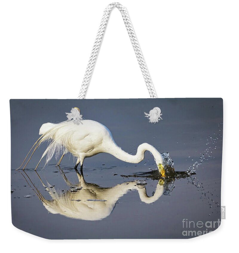 Egrets Weekender Tote Bag featuring the photograph Great Egret Diving For Lunch by DB Hayes