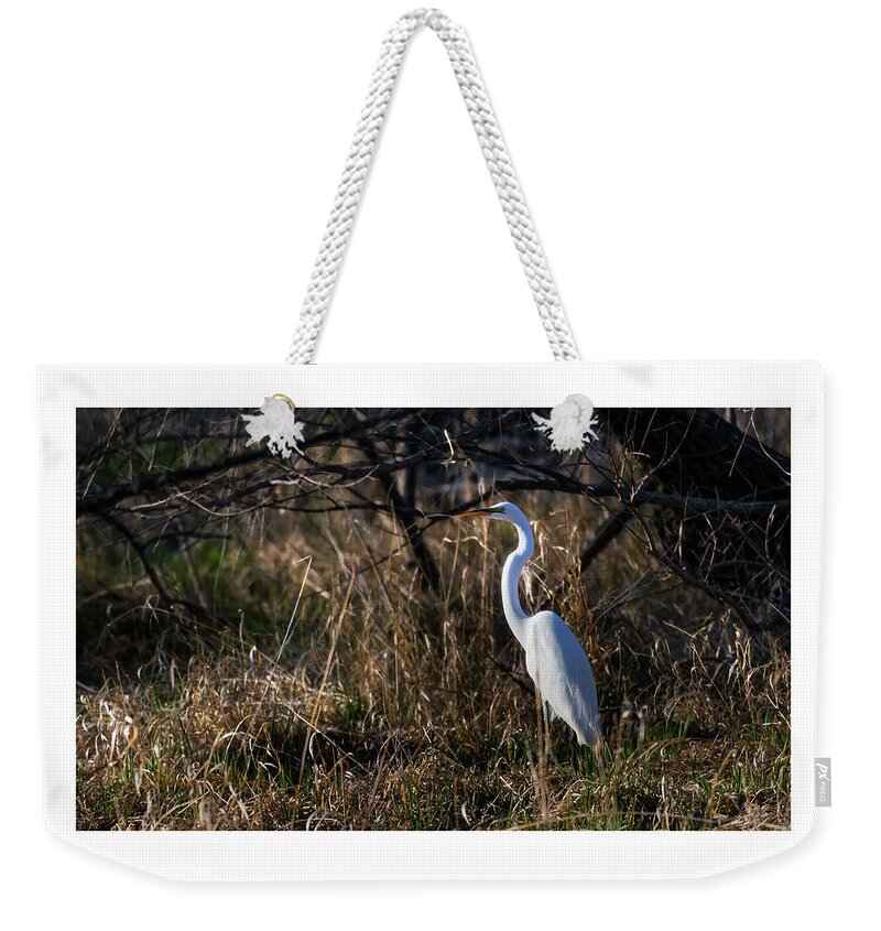 Great Egret Weekender Tote Bag featuring the photograph Great Egret Evening by Ed Peterson