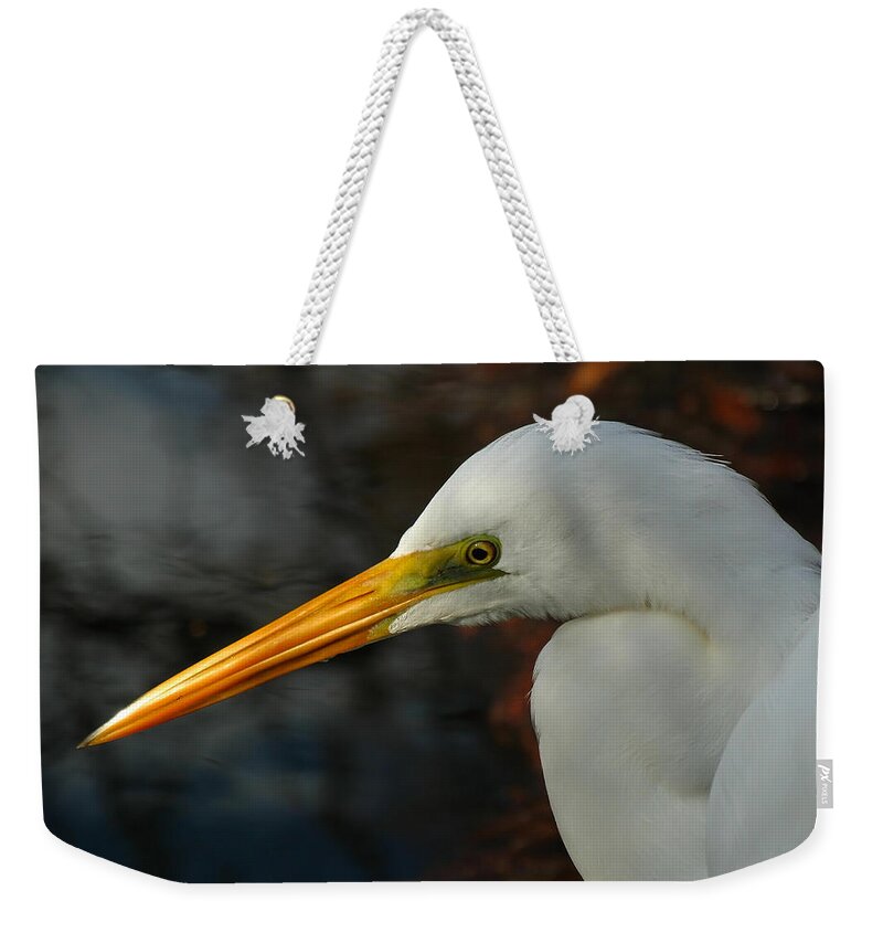 Snowy Weekender Tote Bag featuring the photograph Great Egret Portrait by Juergen Roth