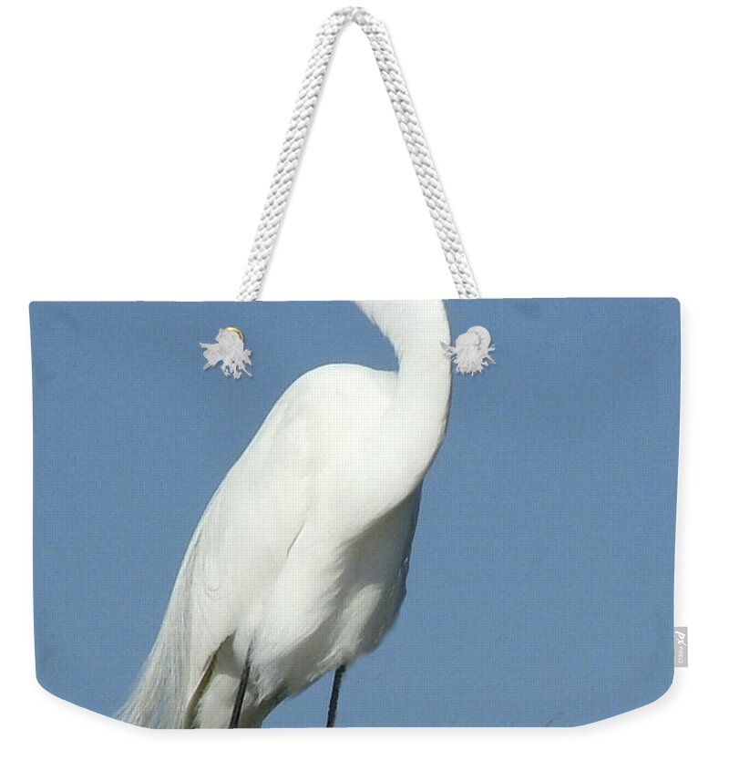 Great Egret Weekender Tote Bag featuring the photograph Great Egret Profile by William Bitman