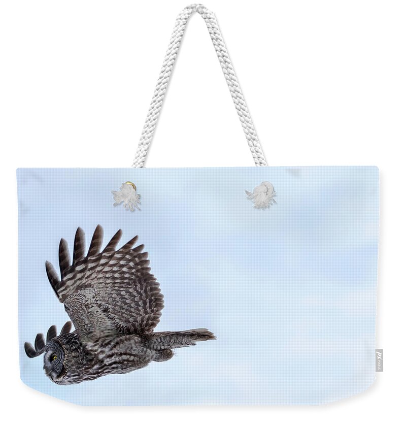 Bird Weekender Tote Bag featuring the photograph Great Gray Owl in Flight by Brook Burling