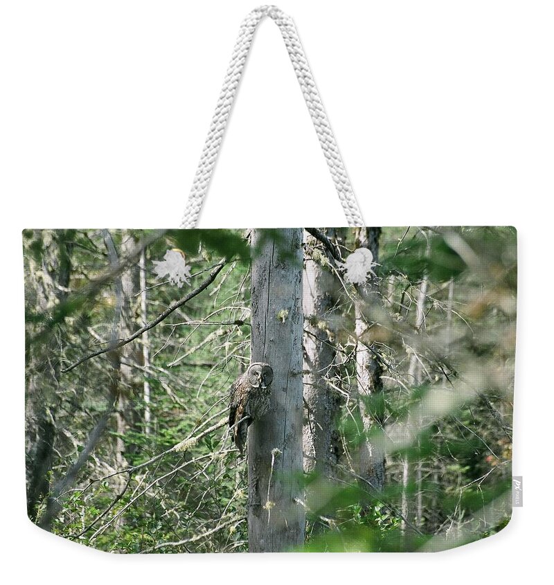Great Grey Owl Weekender Tote Bag featuring the photograph Great Grey Owl by David Porteus