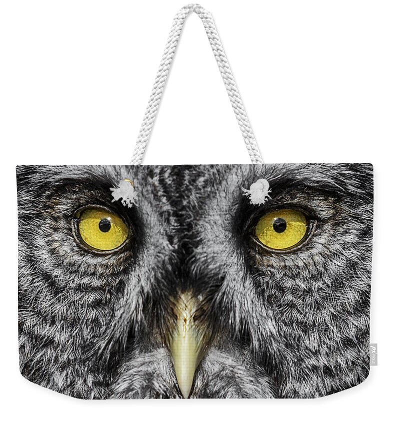 Great Grey Owl Up Close Weekender Tote Bag featuring the photograph Great Grey Owl Up Close by Wes and Dotty Weber