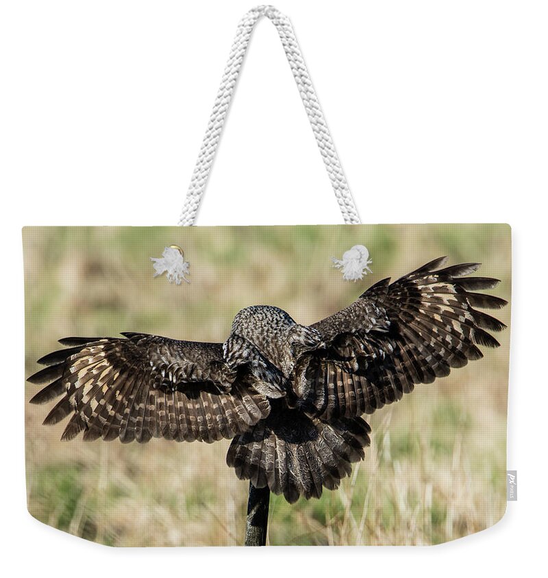 Great Greys Back Weekender Tote Bag featuring the photograph Great Grey's back by Torbjorn Swenelius