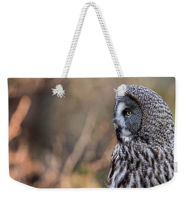 Great Greys Profile Weekender Tote Bag featuring the photograph Great Grey's Profile by Torbjorn Swenelius