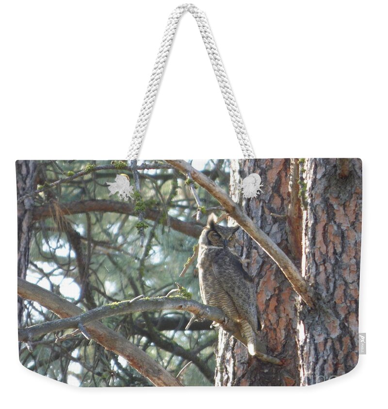 Great Horned Owl Weekender Tote Bag featuring the photograph Great Horned Owl in a tree by Charles Robinson