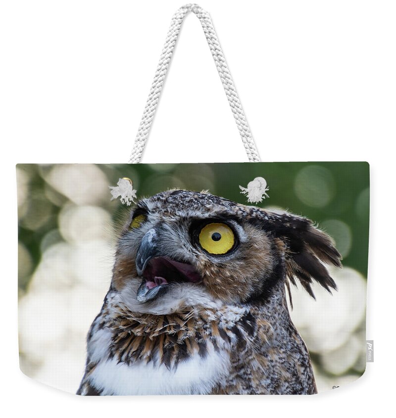 Great Horned Owl Weekender Tote Bag featuring the photograph Great Horned Owl Portrait by Stephen Johnson