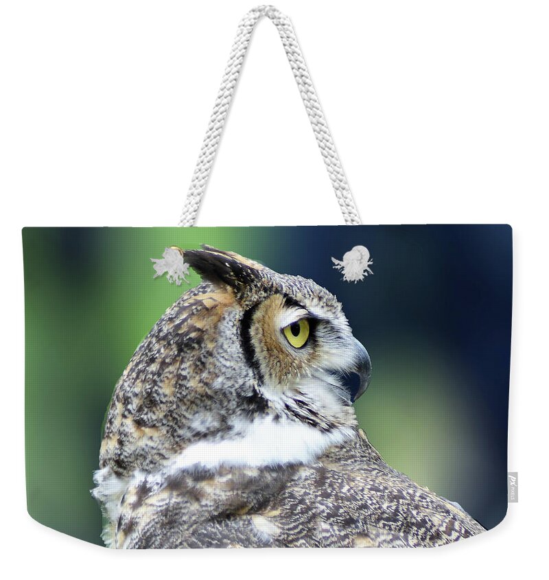 Great Horned Owl Weekender Tote Bag featuring the photograph Great Horned Owl Profile by Kathy Kelly