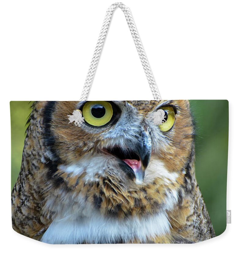 Great Horned Owl Weekender Tote Bag featuring the photograph Great Horned Owl Smiling by Amy Porter