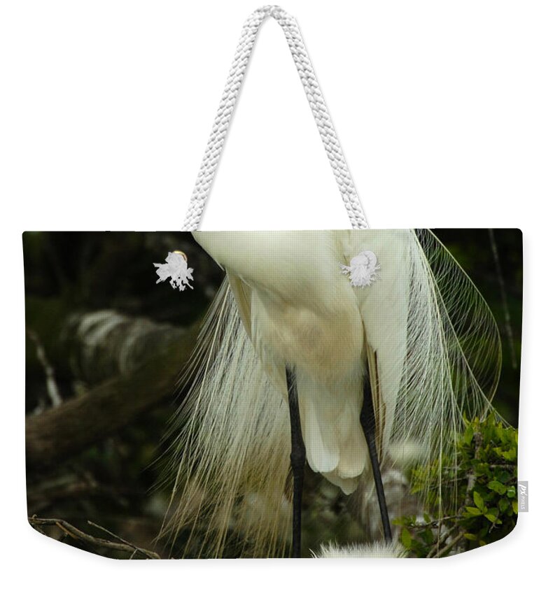 Majestic Great Egret Weekender Tote Bag featuring the photograph Majestic Great White Egret High Island Texas 3 by Bob Christopher