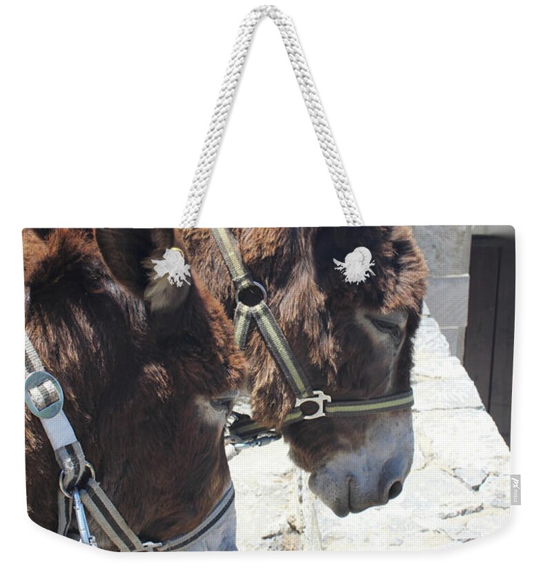 Greece Weekender Tote Bag featuring the photograph Greece's Donkeys by Donna L Munro