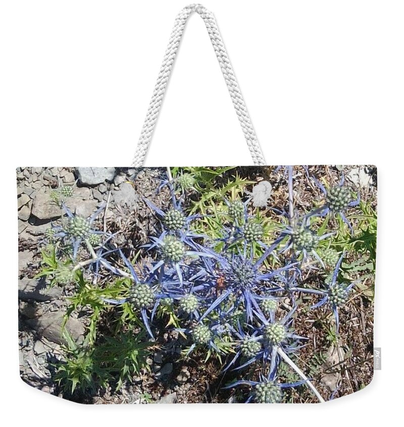 Greek Weekender Tote Bag featuring the photograph Greek Spiky Plant by Julia Woodman