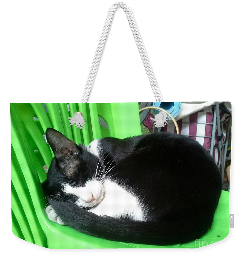 Green Weekender Tote Bag featuring the photograph Green Chair Sleeping by Sukalya Chearanantana
