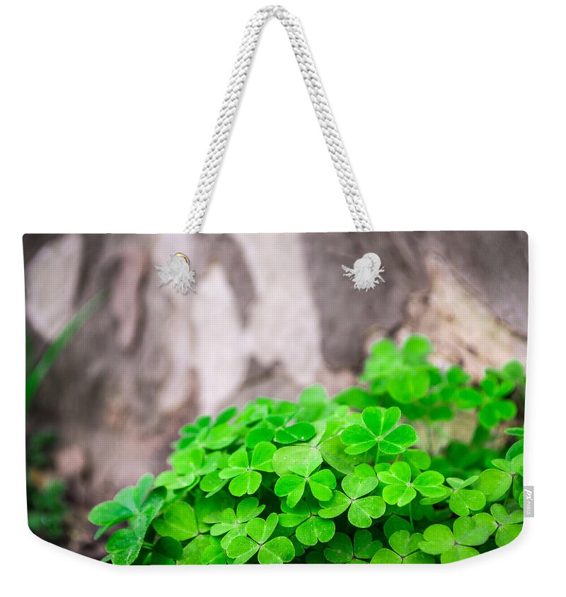 Abstract Weekender Tote Bag featuring the photograph Green Clover and Grey Tree by John Williams