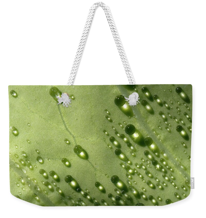 Drops Weekender Tote Bag featuring the photograph Green Drops by Raffaella Lunelli