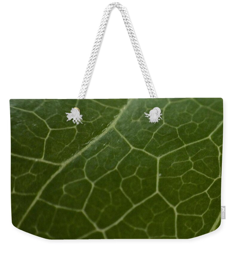 Green Weekender Tote Bag featuring the photograph Green by Kumiko Izumi