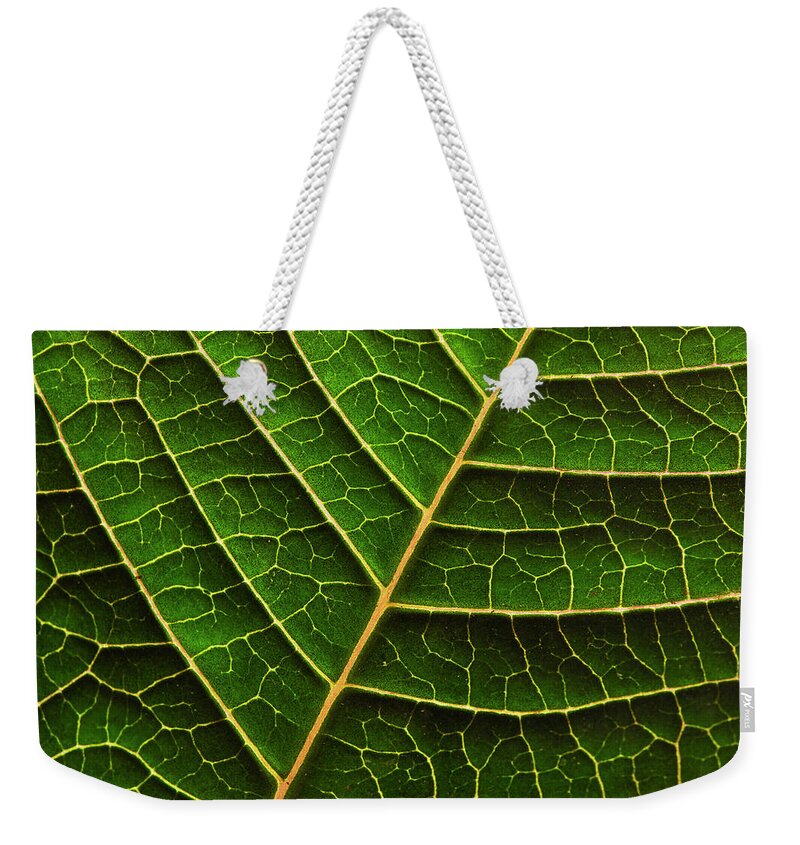 Green Weekender Tote Bag featuring the photograph Green Leaf Macro by Morgan Wright