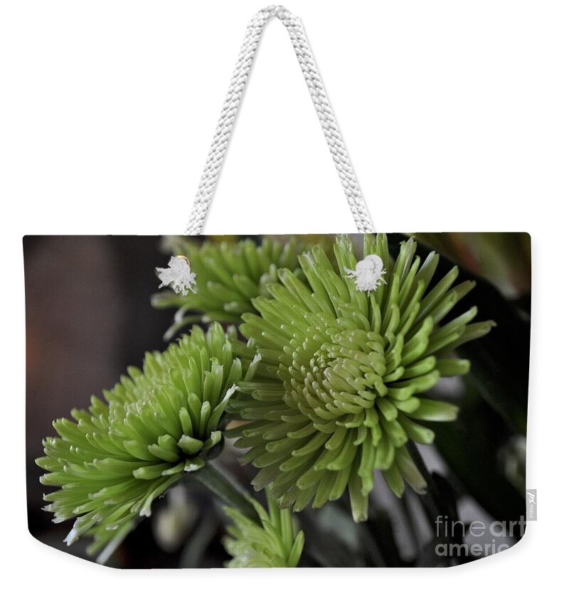 Rain Weekender Tote Bag featuring the photograph Green Mums by Bridgette Gomes