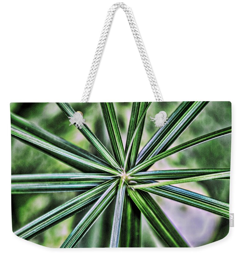 Abstract Weekender Tote Bag featuring the photograph Green Plant Abstract by Sharon McConnell