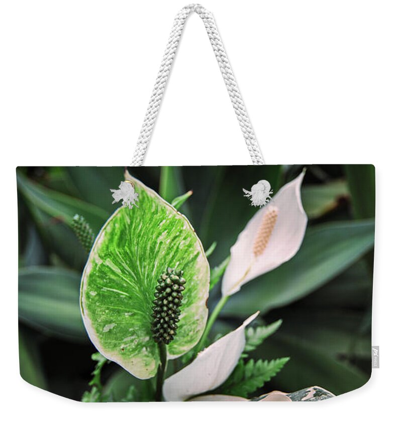 Garden Weekender Tote Bag featuring the photograph Green by Russell Brown
