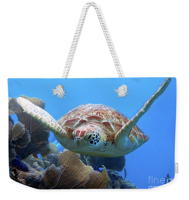 Underwater Weekender Tote Bag featuring the photograph Green Sea Turtle 16 by Daryl Duda