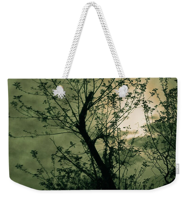 Sunset Weekender Tote Bag featuring the photograph Green Sunset by David Yocum