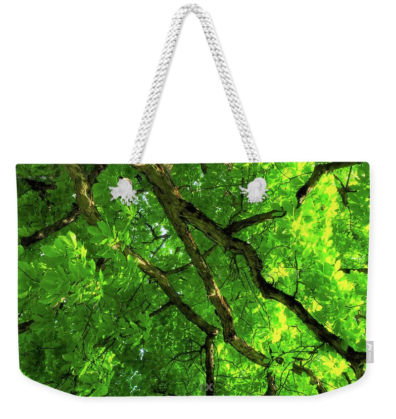 Tree Weekender Tote Bag featuring the photograph Green Tree HDR by Raymond Earley