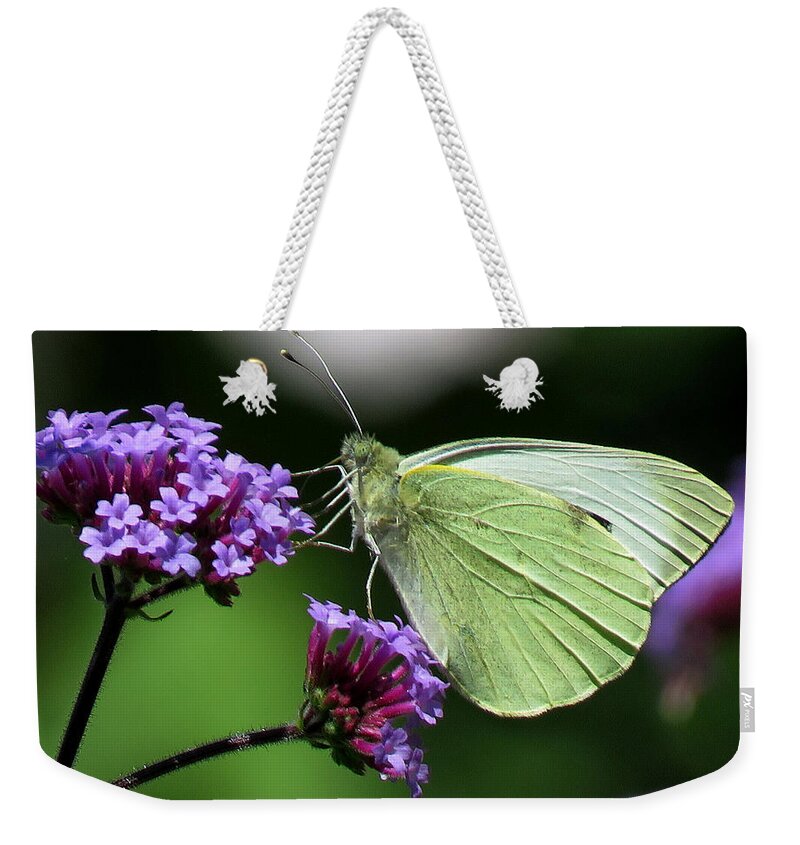 Butterfly Weekender Tote Bag featuring the photograph Green Wings by John Topman