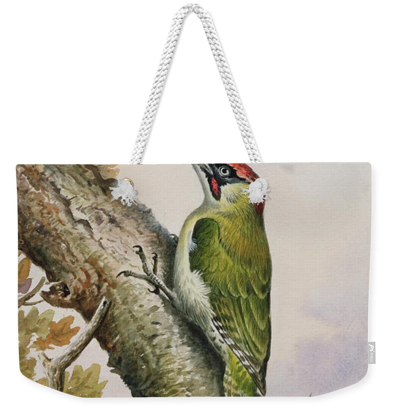 Acorn Woodpecker Weekender Tote Bags