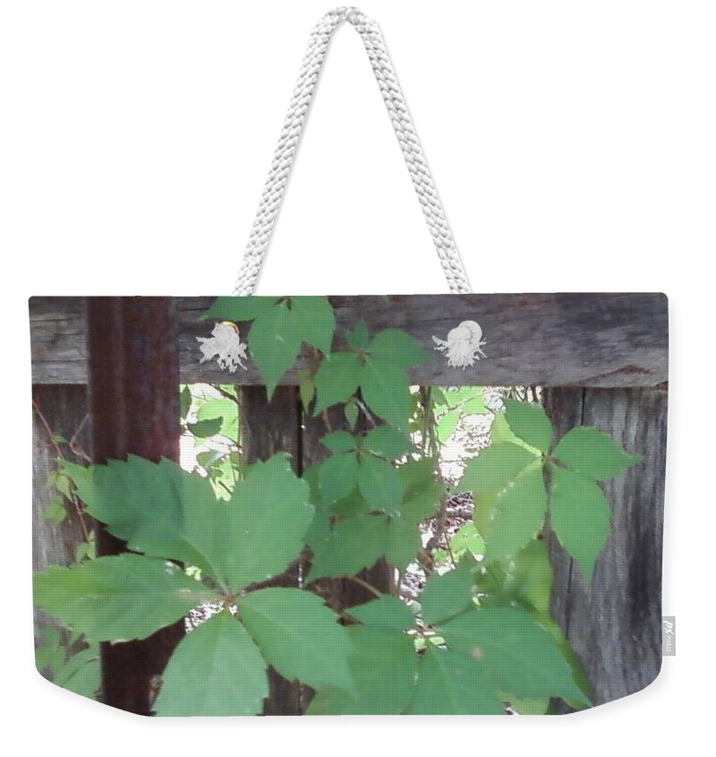 Barn Wood Fence Greenery Weekender Tote Bag featuring the photograph Greenery by Cindy New