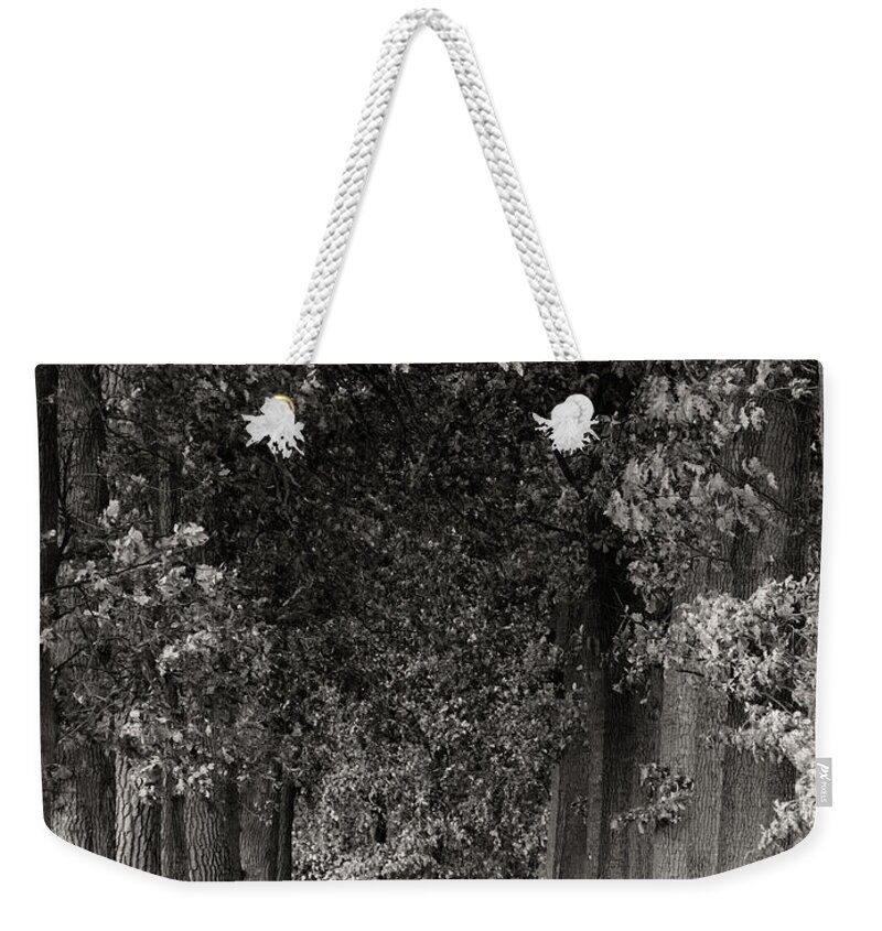 Trees Weekender Tote Bag featuring the photograph Greeted by Trees by Wim Lanclus