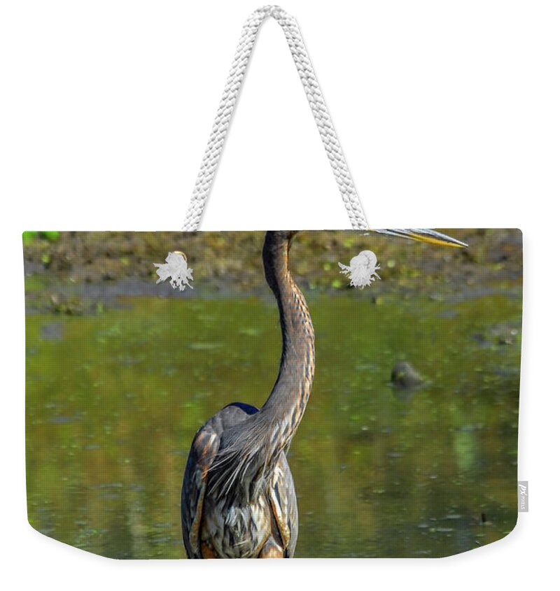 Ardea Herodias Weekender Tote Bag featuring the photograph Gret Blue Heron in pond by Patrick Wolf