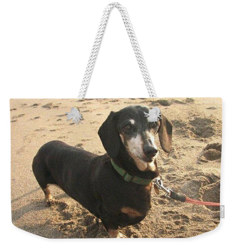 Dog Weekender Tote Bag featuring the photograph Gretel by Rowena Tutty