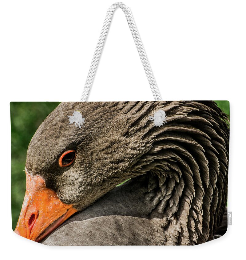Greylag Goose Weekender Tote Bag featuring the photograph Greylag Goose Portrait by Gary Whitton