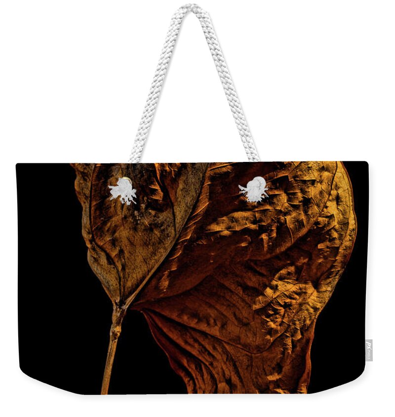 Grief Weekender Tote Bag featuring the photograph Grief by Agustin Uzarraga