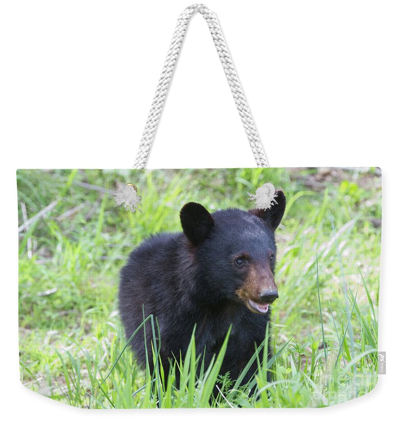 Animals Weekender Tote Bag featuring the photograph Grin and Bear It by Chris Scroggins