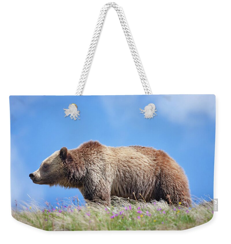 Mark Miller Photos Weekender Tote Bag featuring the photograph Grizzly and Blue Sky by Mark Miller