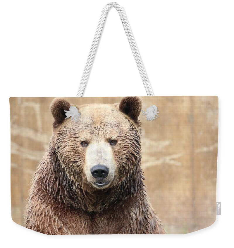 Grizzly Weekender Tote Bag featuring the photograph Grizzly Portrait by Tammy Crawford