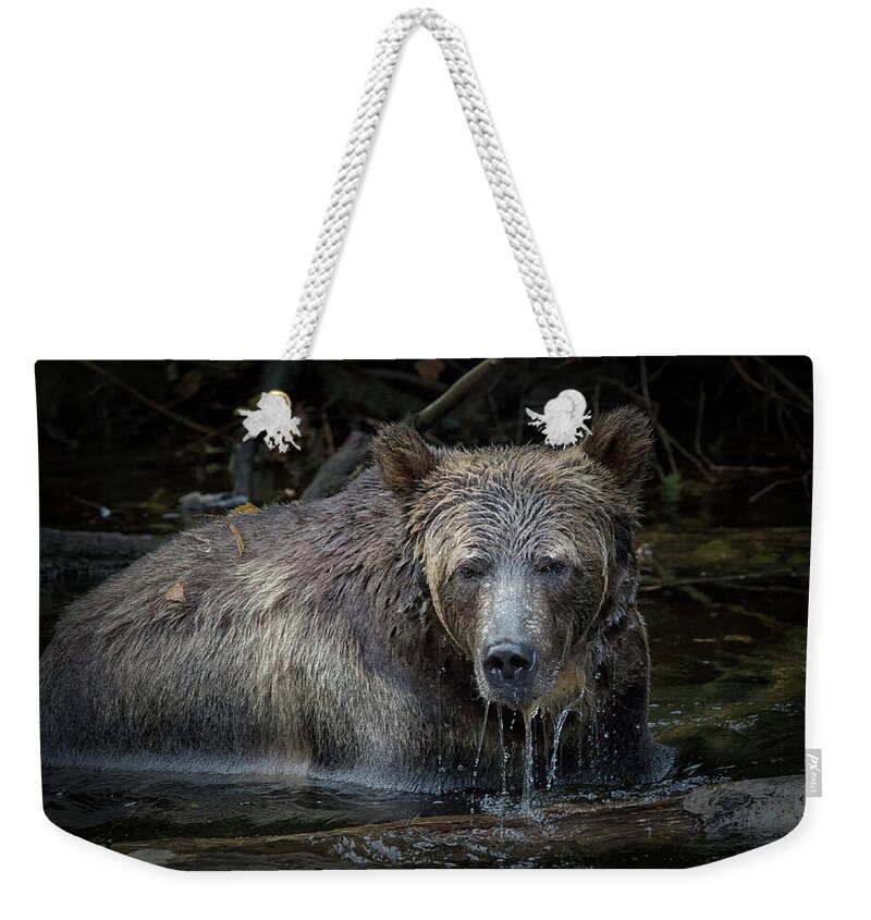 Grizzly Bear Weekender Tote Bag featuring the photograph Grizzly by Randy Hall