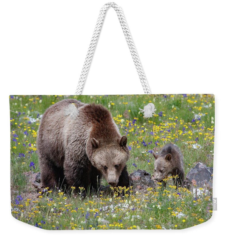 Mark Miller Photos Weekender Tote Bag featuring the photograph Grizzly Sow and Cub in Summer Flowers by Mark Miller