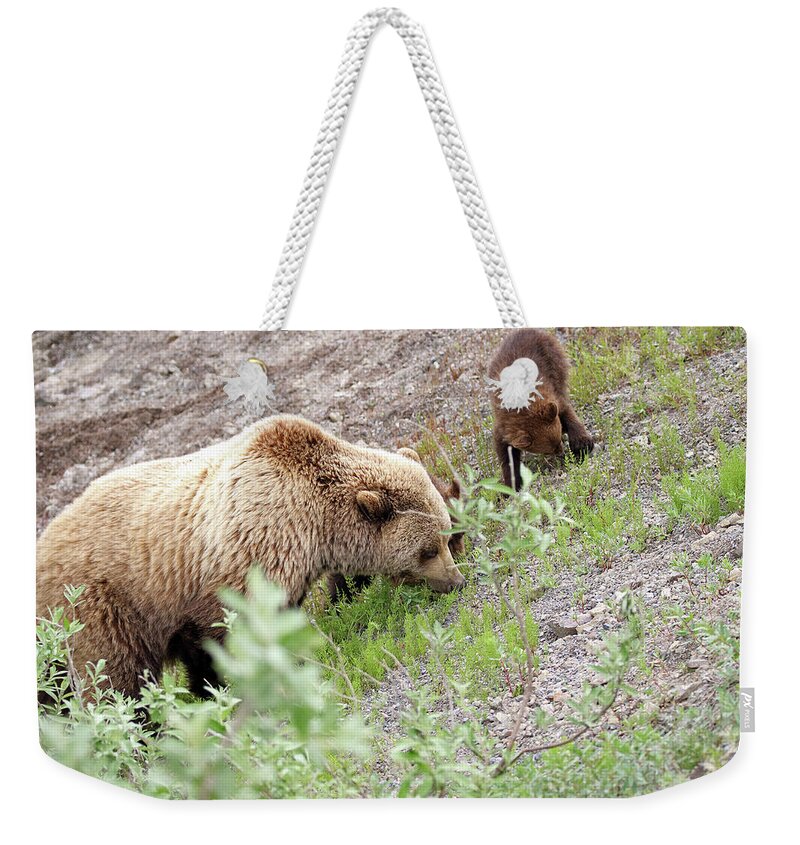 Bear Weekender Tote Bag featuring the photograph Grizzly Sow and Cubs by Jean Clark